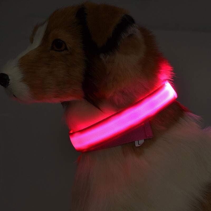 GlowPup - LED Luminous Dog Collar - view 2